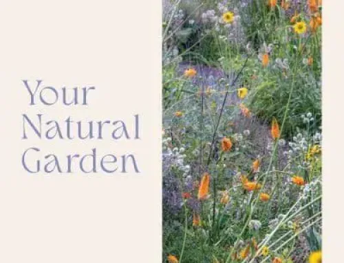 Your Natural Garden A Practical Guide to Caring for an Ecologically Vibrant Home Garden – Kelly D. Norris PDF EPUB Ebook