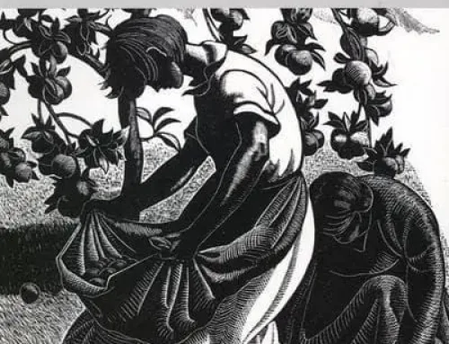 Four Hedges A Gardener’s Chronicle – Clare Leighton PDF EPUB Ebook