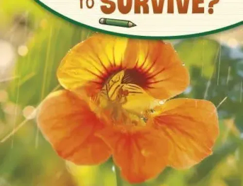 What Do Plants Need to Survive? – Science Enquiry – Emily Raij PDF EPUB Ebook