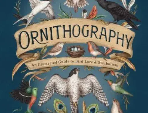 Ornithography An Illustrated Guide to Bird Lore & Symbolism – Hidden Languages – Jessica Roux PDF EPUB Ebook