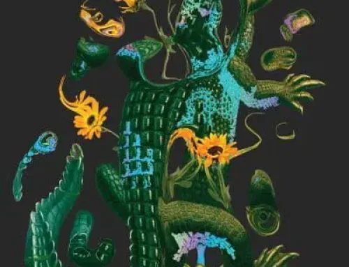 Absolution – The Southern Reach Series – Jeff VanderMeer PDF EPUB Ebook