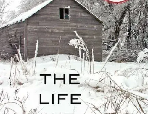 The Life We Bury A Novel – Allen Eskens PDF EPUB Ebook