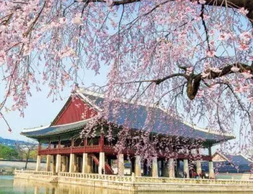 The Rough Guide to Korea – Rough Guides Main Series – Guides, Rough PDF EPUB Ebook